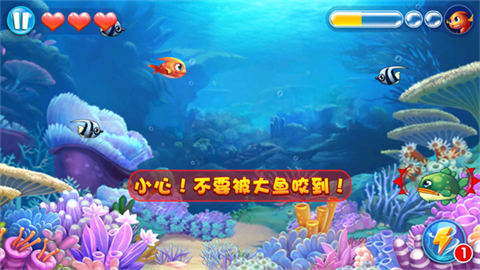 大鱼吃小鱼3 第6张图