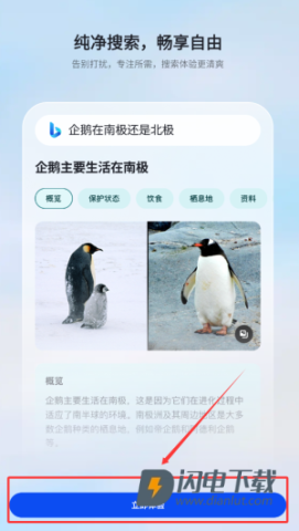 微软必应国际版 第4张图