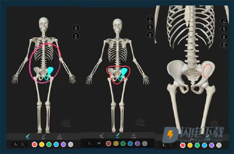 解剖大师 第7张图
