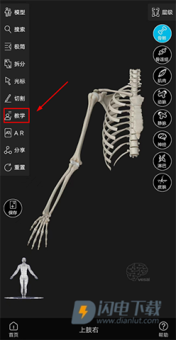 解剖大师 第5张图