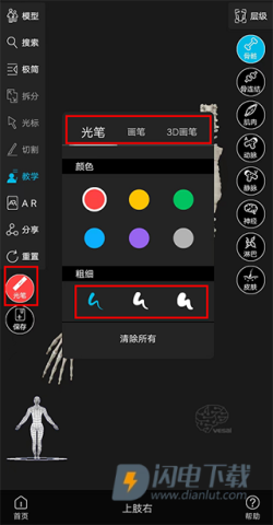 解剖大师 第6张图