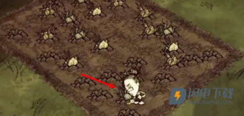 饥荒合集版 第4张图