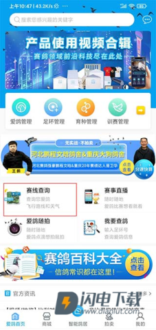 爱鸽者 第2张图