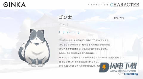 GINKA银花 第9张图