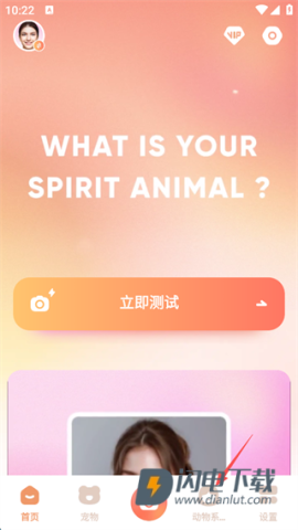 AnimalFace灵魂宠物 第1张图