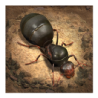 小小蚁国国际服