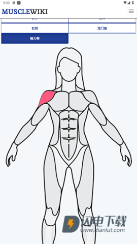 MuscleWiki 第3张图