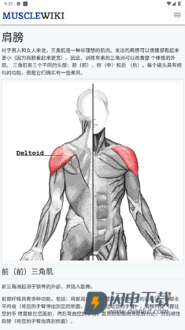 MuscleWiki 第4张图