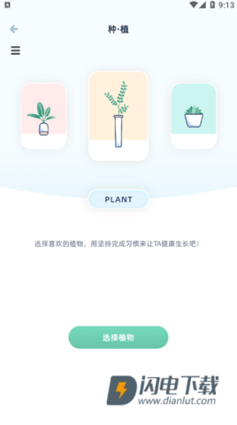 柠檬点点 第6张图