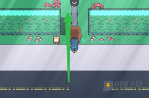 阿莱莎的房子 第3张图