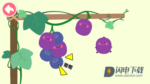 宝宝爱水果蔬菜 第5张图
