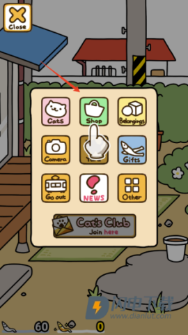 猫咪后院2 第3张图