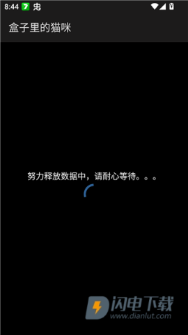 盒子里的猫咪 第4张图