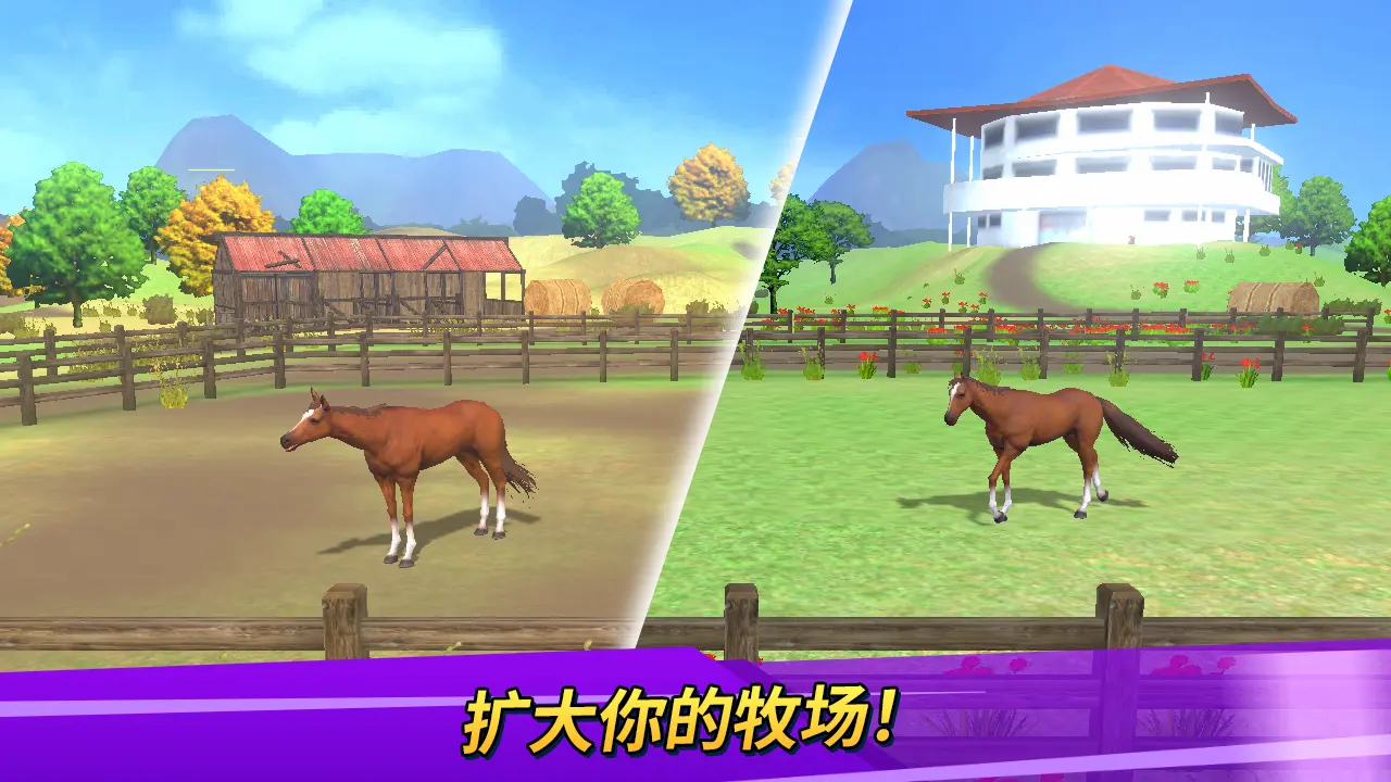 德比生活（Derby Life）游戏