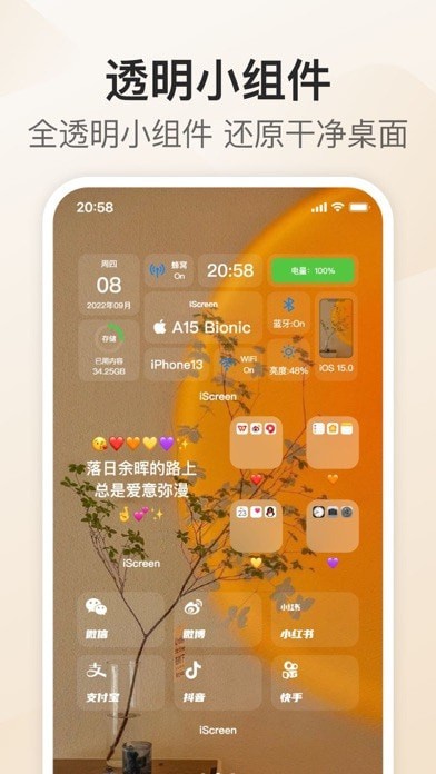我的桌面iScreen软件 第1张图