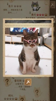 猫咪和秘密森林 第1张图