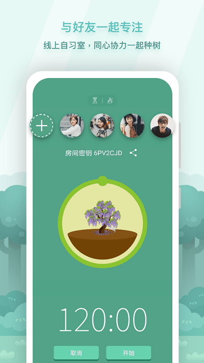 Forest专注森林 第1张图