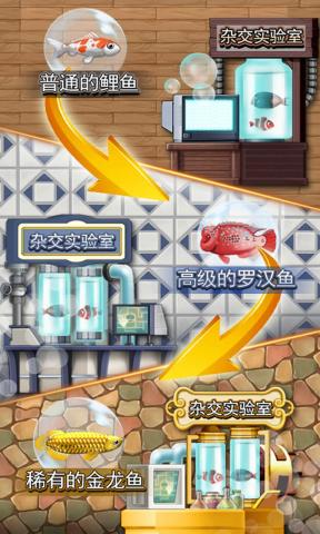 猫猫水族馆 第1张图