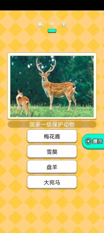 动物研究院游戏 第1张图