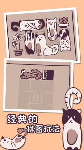 我的小猫贼好看 第1张图