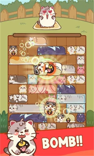 滑猫 第1张图