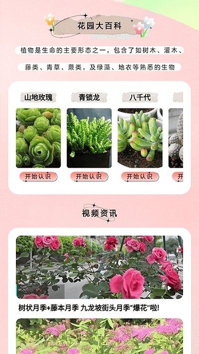 万物识图大师 第1张图