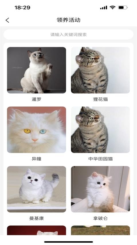宠哩吖商城 第1张图