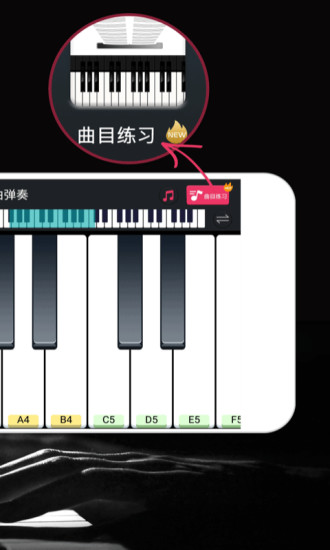 模拟钢琴免费版 第1张图