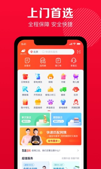 天鹅到家 第1张图