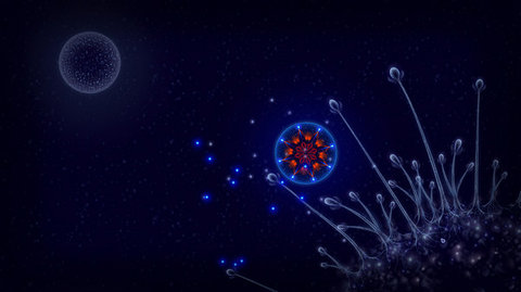 微生物世界 第1张图