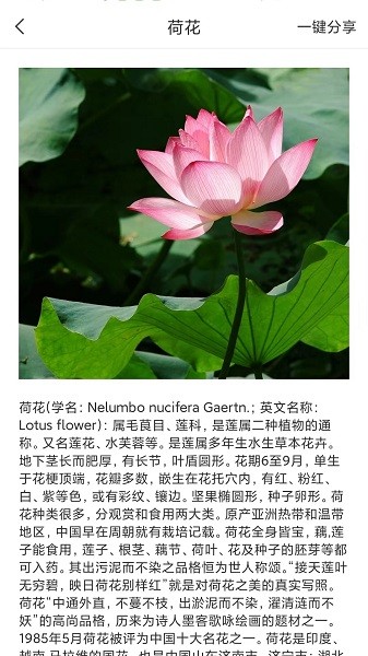 拍照识物全能王2023 第1张图