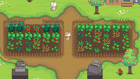 猫咪森林治愈露营 第1张图