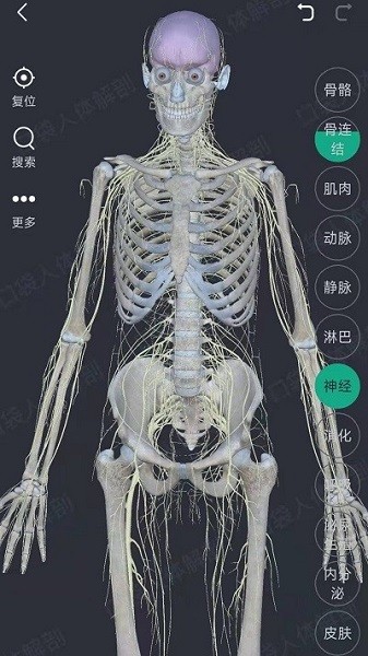 万康人体解剖官方版免费 第1张图