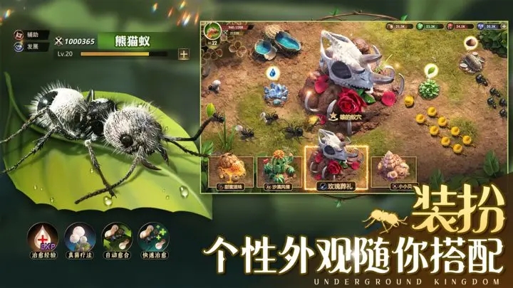 小小蚁国app官方版 第1张图
