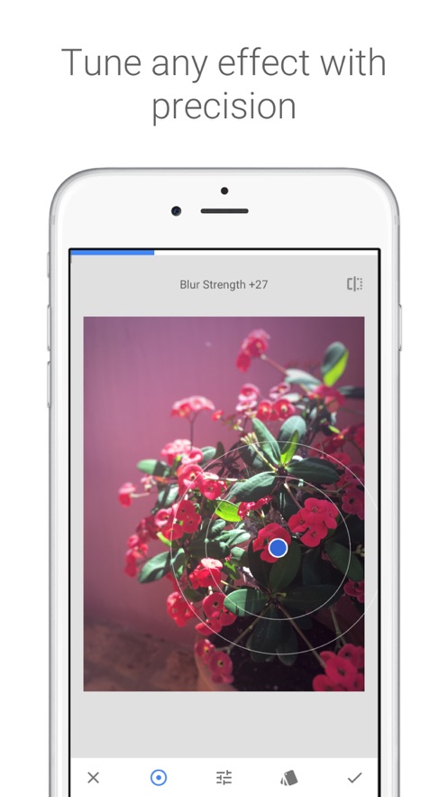 小叶子溶图手机app 第1张图