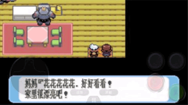 口袋妖怪红宝石中文版 第1张图