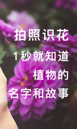 形色免费正版 第1张图