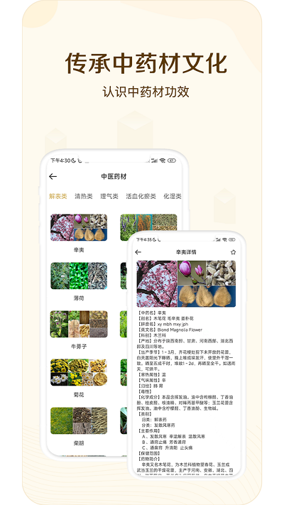 经络穴位指南 第1张图