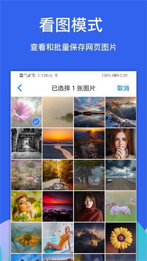 alook软件 第1张图