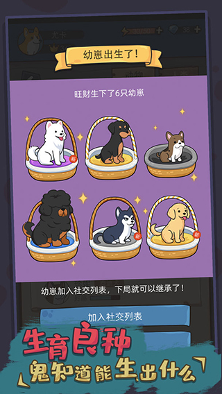 狗生模拟器屠宰场官方版 第1张图