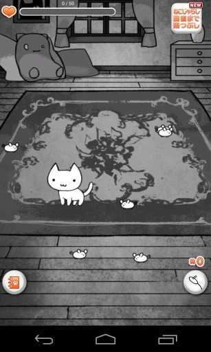 猫咪日记 第1张图