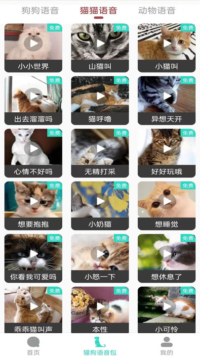 多多猫语狗语翻译器 第1张图