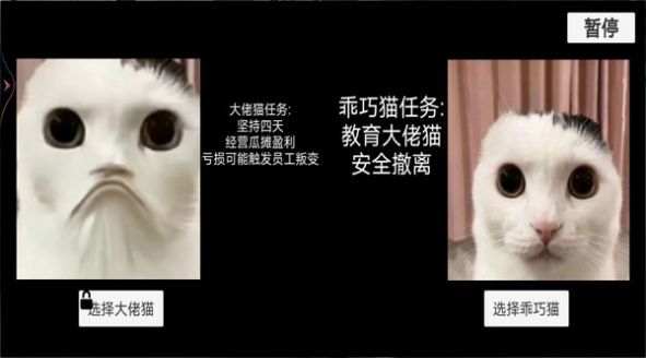 猫猫惊魂夜 第1张图