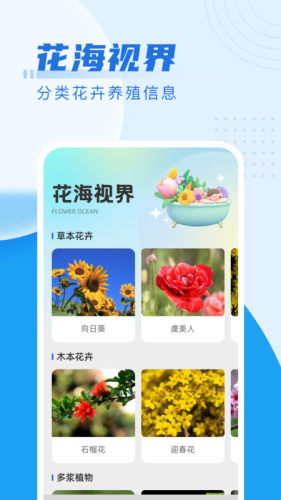 花海随刷 第1张图