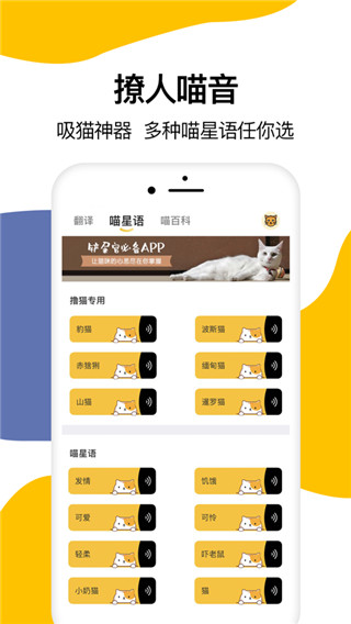 猫语翻译器ios版 第1张图