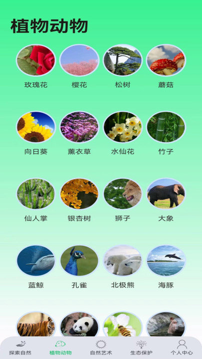 绿野乐园 第1张图