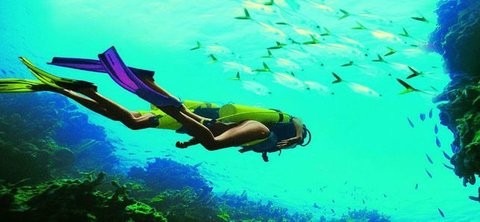 深海潜水模拟 第1张图