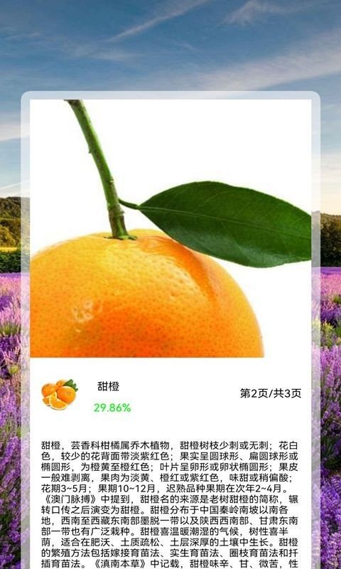 全能拍照识花精灵 第1张图