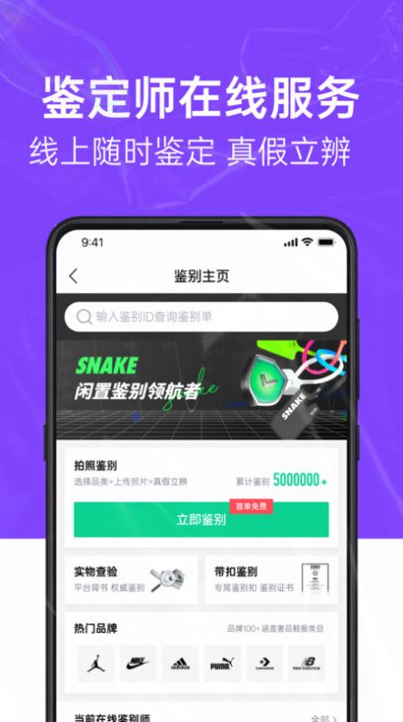 snake鉴别 第1张图