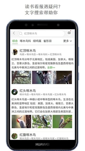 识万物 第1张图